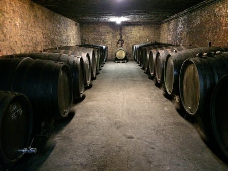 Hofgut Falkenstein 2024er SAAR Riesling Krettnacher Euchariusberg "Alte Reben" Kabinett - No. elf Spezialitätenkaffee