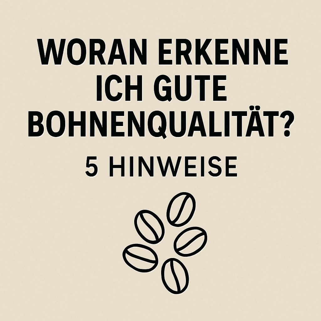 Woran erkenne ich gute Kaffeebohnen? - No. elf Spezialitätenkaffee