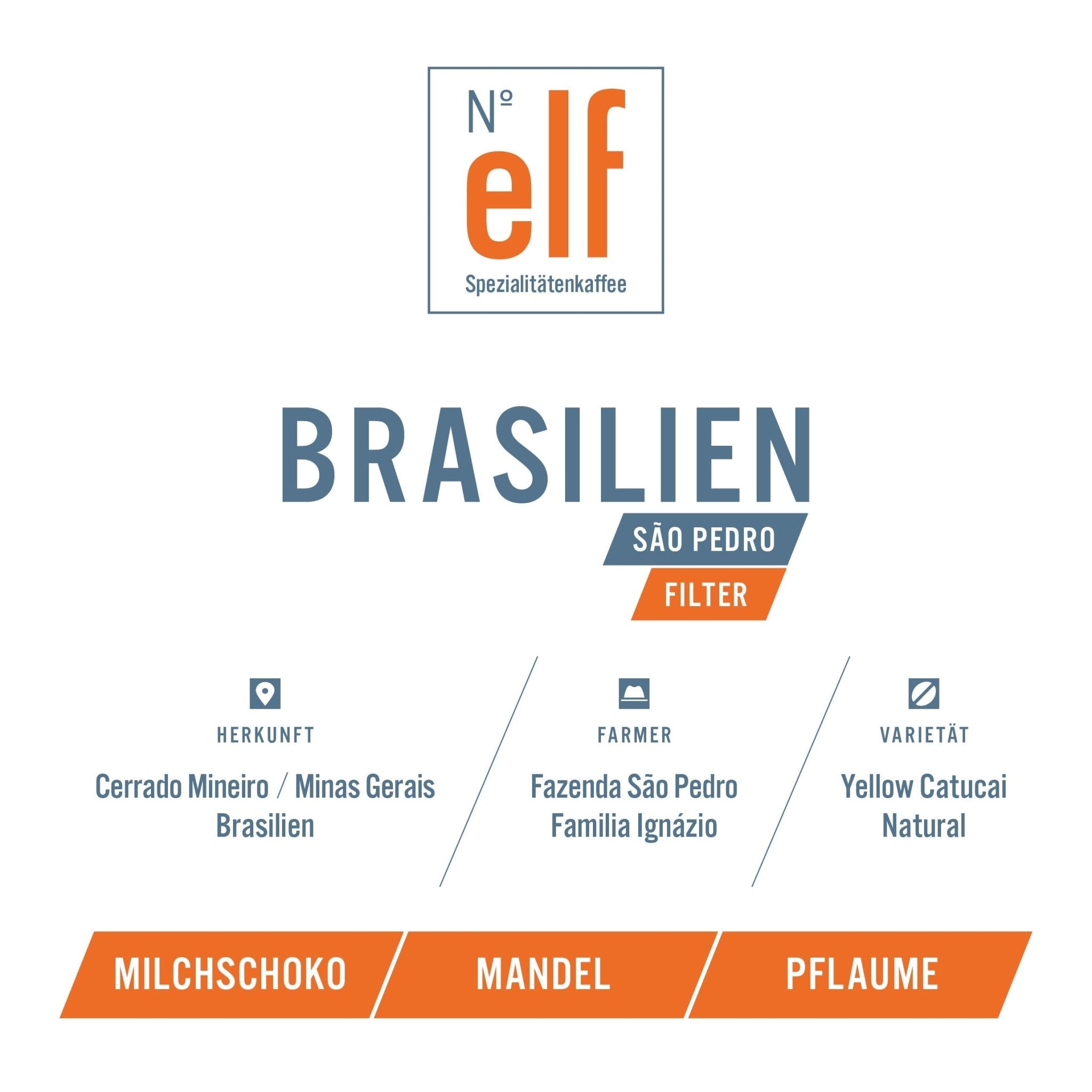 Kaffeebohnen BRASILIEN Fazenda São Pedro - No. elf Spezialitätenkaffee